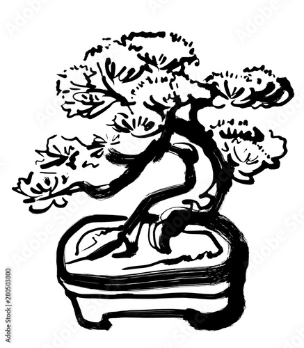 松の木の盆栽 モノクロ Stock イラスト Adobe Stock