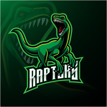 Raptor Sport Mascot Logo Design