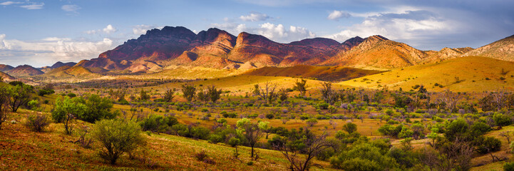 flinders glory