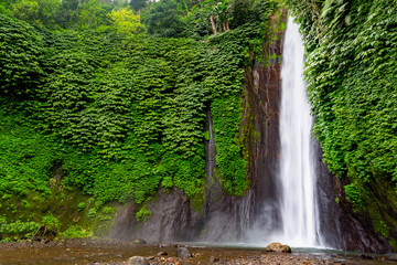 Wall Mural - Munduk waterfall in Bali, Indonesia	