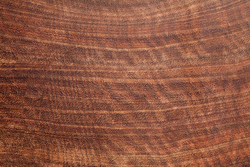 Wall Mural - Brown ironwood texture background. Cross section.