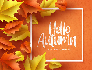 Wall Mural - hello autumn vector background banner. hello autumn greeting text in white frame with fall seasonal 