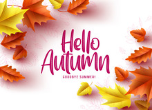 Hello Autumn Vector Greeting Background Design. Autumn Seasonal Greeting Text, Dry Oak And Maple Leaves In A White Pattern Background. Vector Illustration.