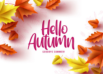 Wall Mural - Hello autumn vector greeting background design. Autumn seasonal greeting text, dry oak and maple leaves in a white pattern background. Vector illustration.