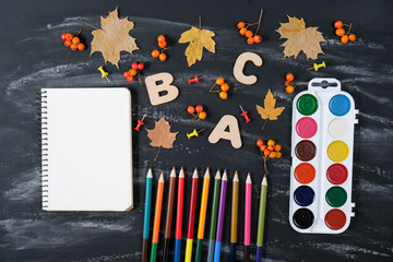 Back to school concept. Notebook, colored pencils, rowan, watercolor and dried maple leaves and office supplies on black table background. Flat lay, top view, copy space.