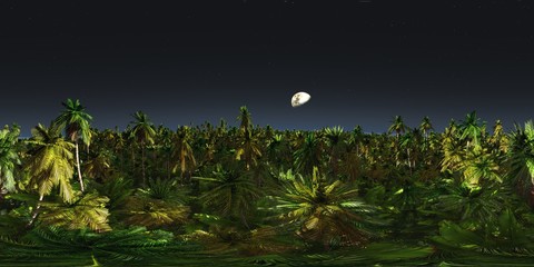 HDRI, environment map , Round panorama, spherical panorama, equidistant projection, panorama 360, night jungle