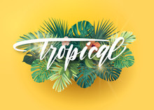 Green And Yellow Summer Tropical Background With Exotic Monstera Palm Leaves And Hibiscus Flowers. White Handlettering With 3d Effect. Vector Floral Illustration.
