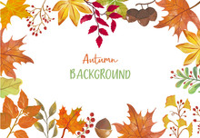 Collection Of Autumn Background Set With Leaves,maple,acorn,frame.Editable Vector Illustration For Birthday Invitation,postcard And Website Banner
