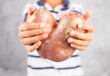 Boy holds ugly potato in the heart shape on a gray background. Funny, unnormal vegetable or food waste concept