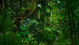 Southeast Asian rainforest with deep jungle