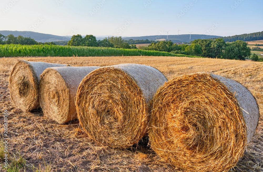 Four hay bales lying on a cut agricultural field in July in a beautiful ...