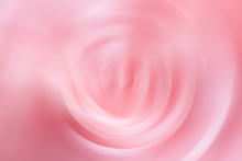 Creative Abstract Floral Background Of Pink Rose Flower In Swirly Blurred Motion. Elegant Template For Wedding Birthday Women's Mother's Day Greeting Card Poster Perfume Or Cosmetics Sale