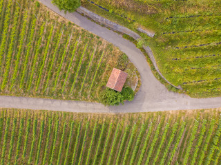 Wall Mural - Aerial view of cottage in vineyard
