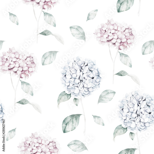 Watercolor seamless pattern with blue hydrangea. Flower print. Hand drawn ill...