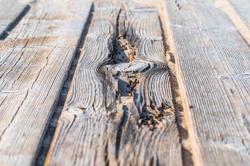 Worn old boards lie in the sun on the beach, background, texture