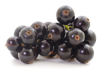 Wall Mural - Black currants isolated.