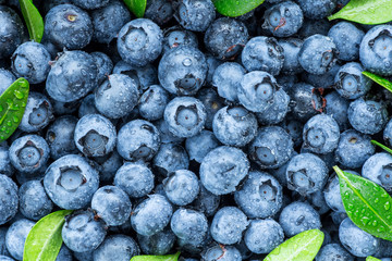 water drops on ripe sweet blueberry. fresh blueberries background with copy space for your text. veg
