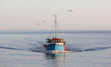 Fishing Boat Returning To Harbour