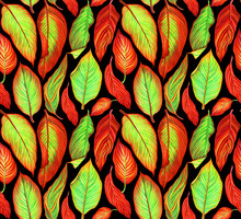 Colorful Seamless Pattern With Tropical Canna Leaves On Black Background.