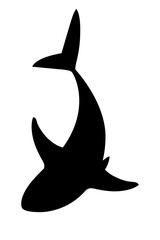 Wall Mural - Black silhouette shark giant apex predator cartoon animal design flat vector illustration isolated on white background