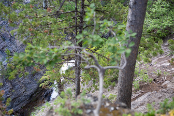 waterfall in forest big cottonwood canyon splash wet spring summer green 