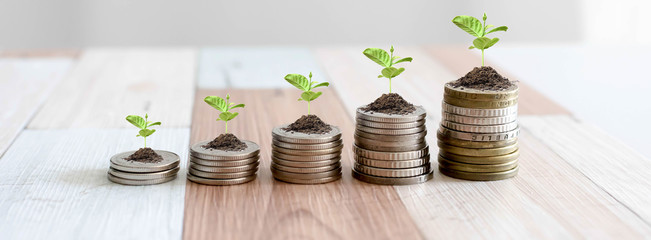 Growing Money - Plant On Coins - Finance And Investment Concept