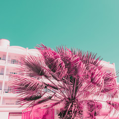 Wall Mural - Palm on background of hotel. Minimal and bright. Infrared pink and turquoise style