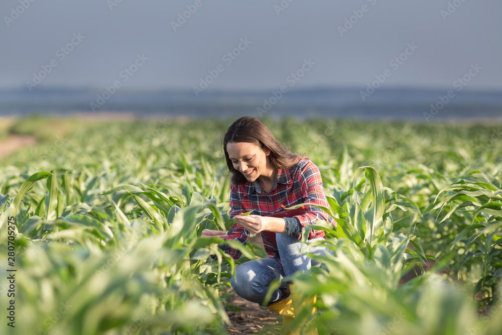 Farmer woman in corn field Stock Photo | Adobe Stock