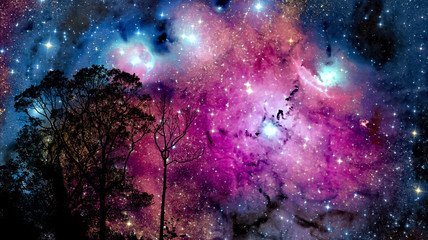Wall Mural - blur galaxy back on night cloud sunset sky silhouette branch and tree