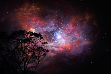 Wall Mural - blur ancient stardust nebula back on night cloud sunset sky over coconut trees