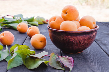 Delicious ripe apricots in a bowl next to green leaves on a wooden table.