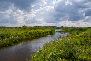 Naklejka na meble Lato nad Narwią. Narwiański Park Narodowy. Podlasie, Polska