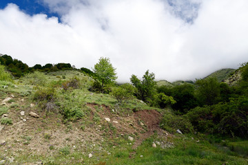 Wall Mural - Naturlandschaft auf dem Varnous, im Nationalpark Prespa, Griechenland