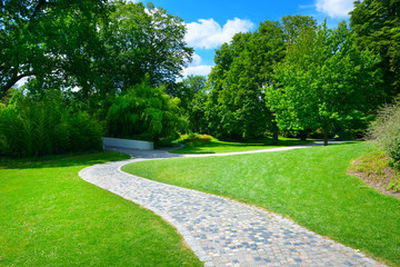 Wall Mural - beautiful meadow with footpath
