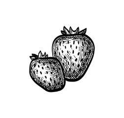 Wall Mural - ink sketch of strawberries.