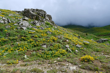 Sticker - Felsblock auf dem Varnous, im Nationalpark Prespa, Griechenland - Rocks on Mt. Varnous in Prespa National Park