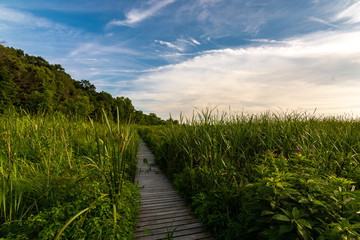 Sticker - Wooden path at sunset