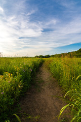 Dirt path at sunset