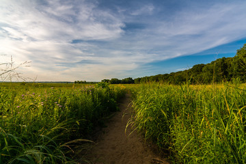 Sticker - Dirt path at sunset