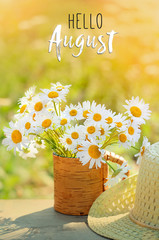 Wall Mural - hello August. beautiful composition with chamomile flowers in Cup, braided hat in garden. Rural landscape background with Chamomile in sunlight. Summertime season. close up. soft selective focus