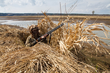 Wall Mural - duck hunter with a shotgun ready to shoot from shelter