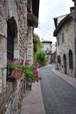 Fototapeta Do pokoju - Stradina italiana in primo piano ad Assisi, Umbria, con fiori con effetto bokeh