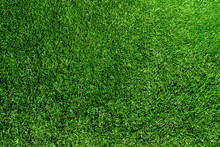Directly Above Shot Of Fresh Green Grass Or Lawn