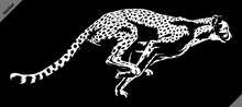 Black And White Linear Paint Draw Cheetah Illustration Art