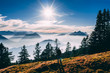© Scenessence - aerial view of guy looking at mountain scenery in the swiss alps during late autumn, colored pinetrees and blue Lake Lucerne covered in fog seen from rigi switzerland