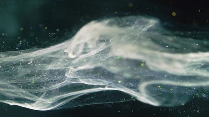 Wall Mural - Abstract stardust smokey wave particles. Nano dynamic flow with particles.