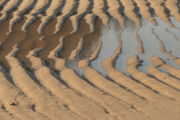 Wall Mural - sand textures at low tide