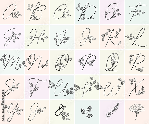 Calligraphy alphabet. Decorative handwritten font. Vector letters