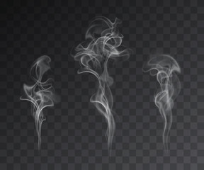 Wall Mural - Vector set of realistic smoke effects on dark background