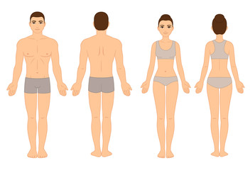 Male and female body chart